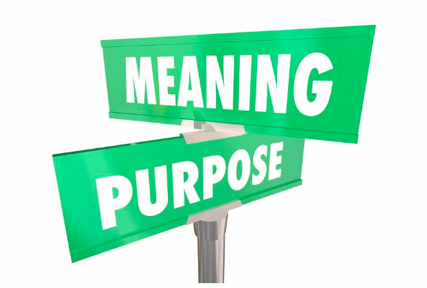 significance-purpose and meaning in business